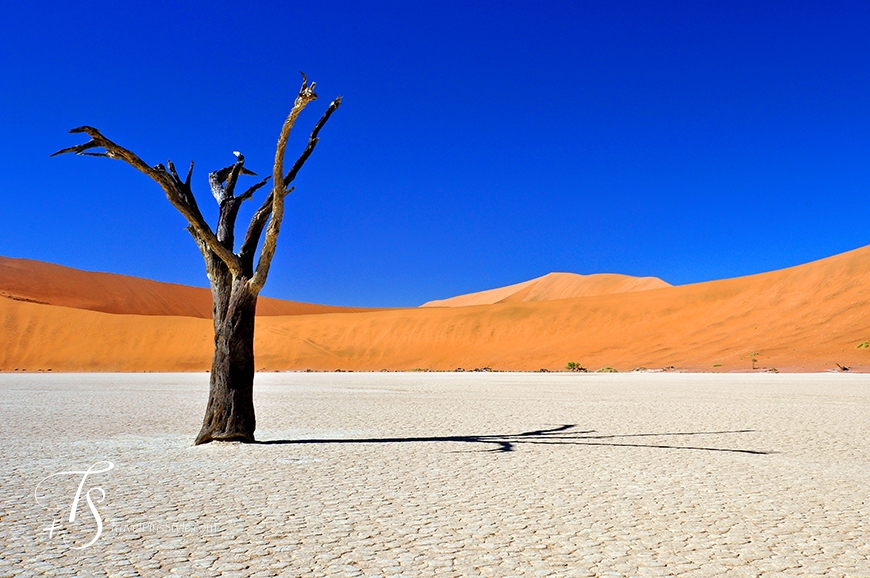 Sossusvlei, Namibia. TravelPlusStyle.com