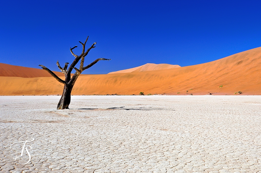 Sossusvlei, Namibia. TravelPlusStyle.com