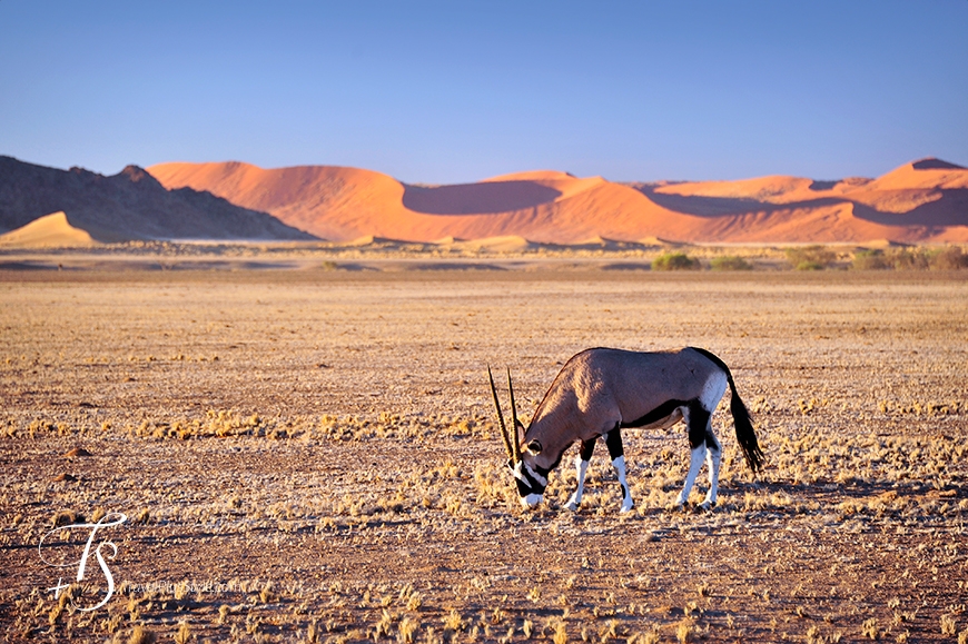 Sossusvlei, Namibia. TravelPlusStyle.com