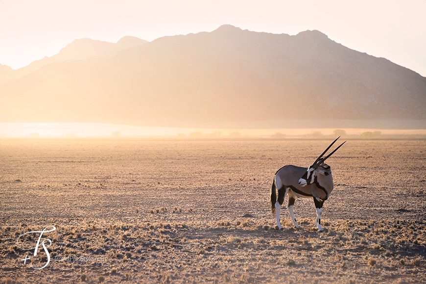 Sossusvlei, Namibia. TravelPlusStyle.com