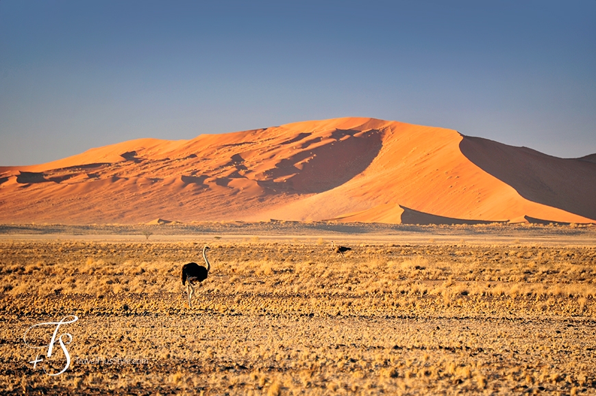 Sossusvlei, Namibia. TravelPlusStyle.com