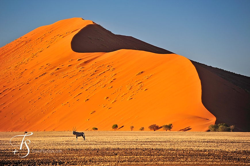 Sossusvlei, Namibia. TravelPlusStyle.com