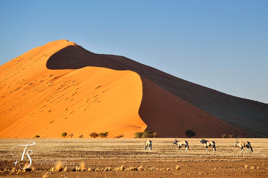 Sossusvlei, Namibia. TravelPlusStyle.com