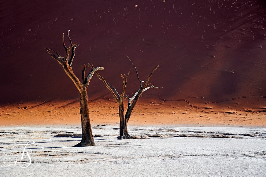 Sossusvlei, Namibia. TravelPlusStyle.com