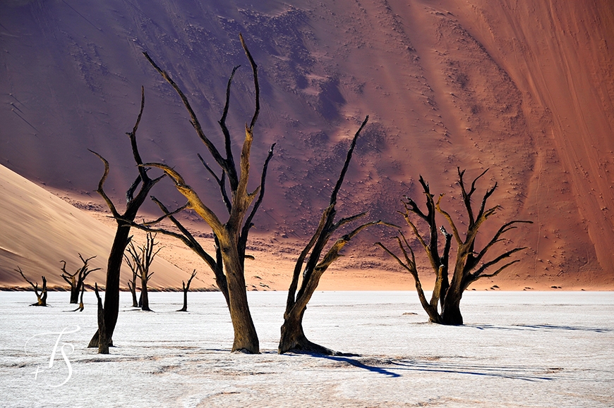 Sossusvlei, Namibia. TravelPlusStyle.com