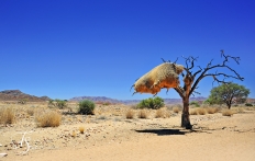 Wolwedans Boulders Camp, Namib Rand, Namibia. © TravelPlusStyle.com