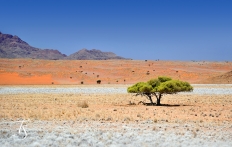 Wolwedans Boulders Camp, Namib Rand, Namibia. © TravelPlusStyle.com