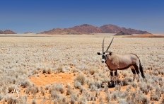 Wolwedans Boulders Camp, Namib Rand, Namibia. © TravelPlusStyle.com