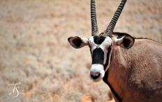 Little Kulala, Namibia. © TravelPlusStyle.com