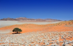 Wolwedans Boulders Camp, Namib Rand, Namibia. © TravelPlusStyle.com