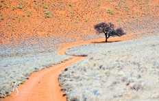 Wolwedans Boulders Camp, Namib Rand, Namibia. © TravelPlusStyle.com