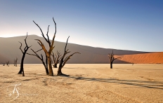 Little Kulala, Namibia. © TravelPlusStyle.com