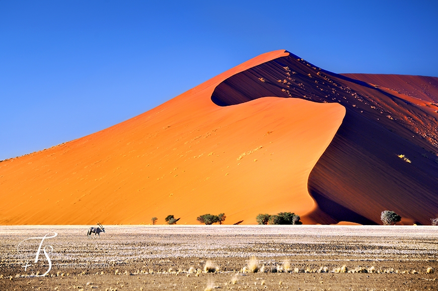 Sossusvlei, Namibia. TravelPlusStyle.com