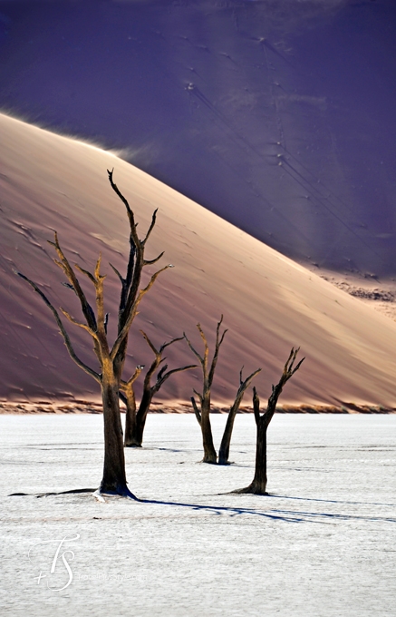 Sossusvlei, Namibia. TravelPlusStyle.com