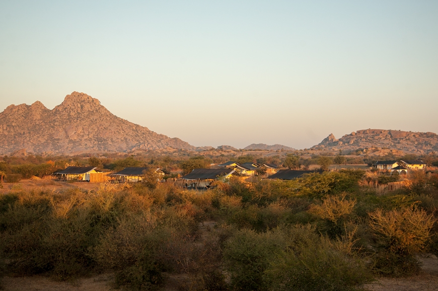 JAWAI Leopard Camp. India. TravelPlusStyle.com