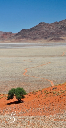 Wolwedans Boulders Camp, Namib Rand, Namibia. © TravelPlusStyle.com