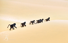 Serra Cafema, Kaokoland, Namibia. ©TravelPlusStyle.com