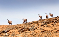 Serra Cafema, Kaokoland, Namibia. ©TravelPlusStyle.com