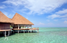 Maalifushi by Como, Maldives. © TravelPlusStyle.com