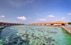 Maalifushi by Como, Maldives. © TravelPlusStyle.com