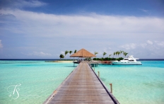 Maalifushi by Como, Maldives. © TravelPlusStyle.com
