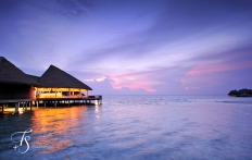 Maalifushi by Como, Maldives. © TravelPlusStyle.com