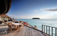 Maalifushi by Como, Maldives. © TravelPlusStyle.com