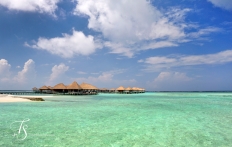 Maalifushi by Como, Maldives. © TravelPlusStyle.com