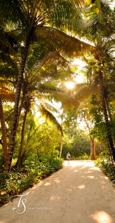 Maalifushi by Como, Maldives. © TravelPlusStyle.com