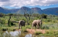 Marataba Safari Lodge, South Africa. Hotel Review by TravelPlusStyle. Photo © Marataba