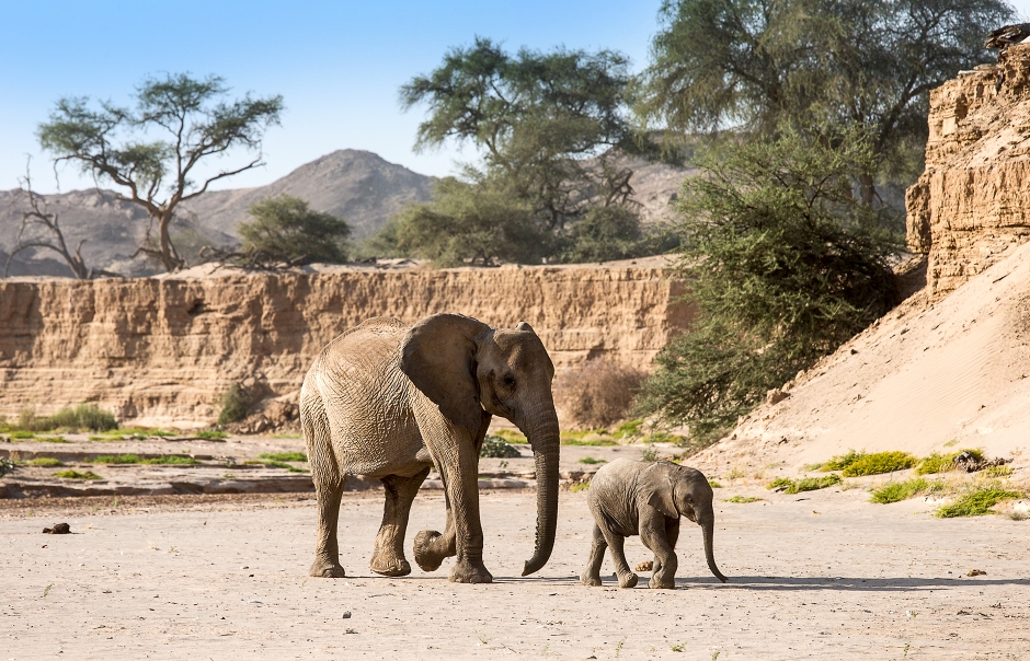 Hoanib Skeleton Coast Camp, Namibia. TravelPlusStyle.com