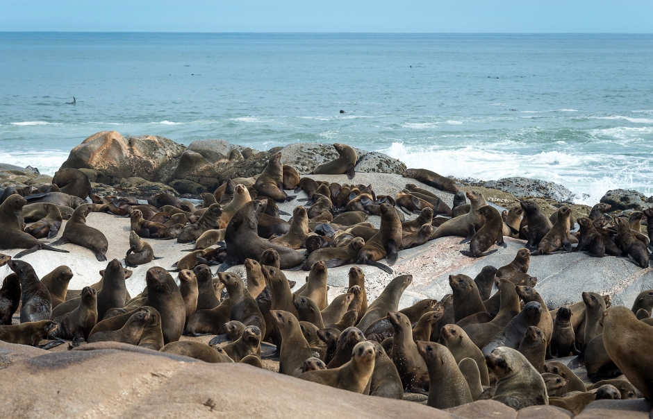 Hoanib Skeleton Coast Camp, Namibia. TravelPlusStyle.com