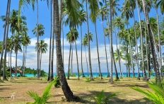 Soneva Kiri Thailand. © TravelPlusStyle.com