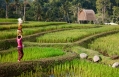 Mandapa, a Ritz-Carlton Reserve, Ubud, Bali. Luxury Hotel Review by TravelPlusStyle. Photo © The Ritz-Carlton