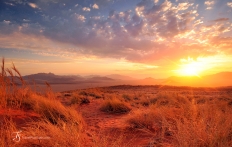 Namib Rand Reserve, Namibia. Photo © Travel+Style