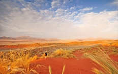 Namib Rand Reserve, Namibia. Photo © Travel+Style