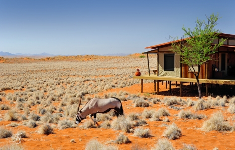 Wolwedans Dunes Lodge, Namibia. Photo © Travel+Style