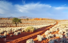 Namib Rand Reserve, Namibia. Photo © Travel+Style