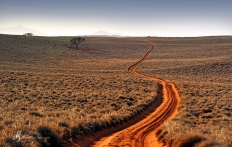 Namib Rand Reserve, Namibia. Photo © Travel+Style