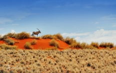 Namib Rand Reserve, Namibia. Photo © Travel+Style