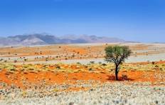 Namib Rand Reserve, Namibia. Photo © Travel+Style