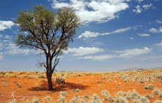 Namib Rand Reserve, Namibia. Photo © Travel+Style