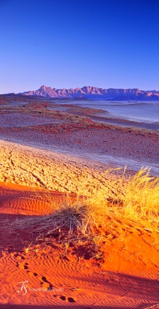 Namib Rand Reserve, Namibia. Photo © Travel+Style