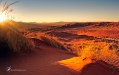 Namib Rand Reserve, Namibia. Photo © Travel+Style