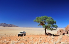 In Namib Rand Reserve, Namibia. Photo © Travel+Style