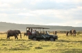 &Beyond Kichwa Tembo Tented Camp, Masai Mara, Kenya. Review by TravelPlusStyle. Photo © &Beyond 