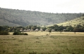 &Beyond Kichwa Tembo Tented Camp, Masai Mara, Kenya. Review by TravelPlusStyle. Photo © &Beyond 