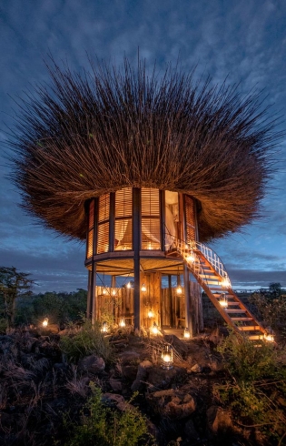 Discover the NAY PALAD Bird Nest â€¢ Luxury Hotels TravelPlusStyle