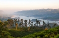 Castlereagh Lake. Ceylon Tea Trails, Sri Lanka. Hotel Review by TravelPlusStyle. Photo © Resplendent Ceylon