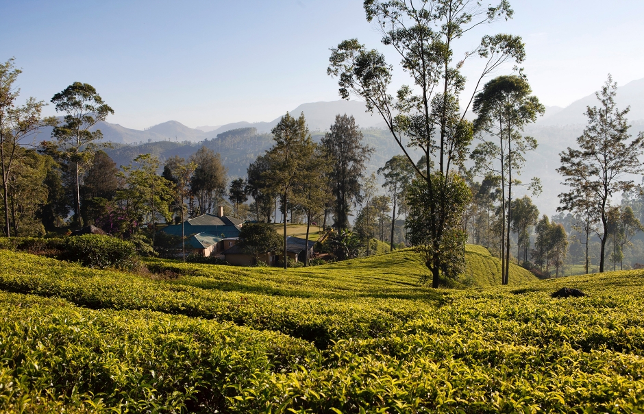 Norwood Bungalow. Ceylon Tea Trails, Sri Lanka. Hotel Review by TravelPlusStyle. Photo © Resplendent Ceylon